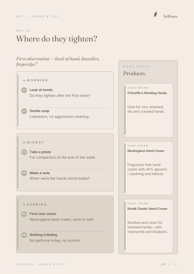 Day 1 morning, midday and evening plan from the English Dry Hands routine